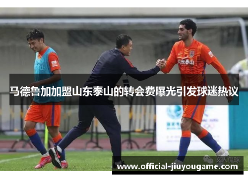 马德鲁加加盟山东泰山的转会费曝光引发球迷热议